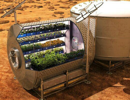 پرورش سیب زمینی در مریخ!