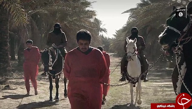 خلاقیت داعش در گردن زنی؛ این بار با اسب! +تصاویر