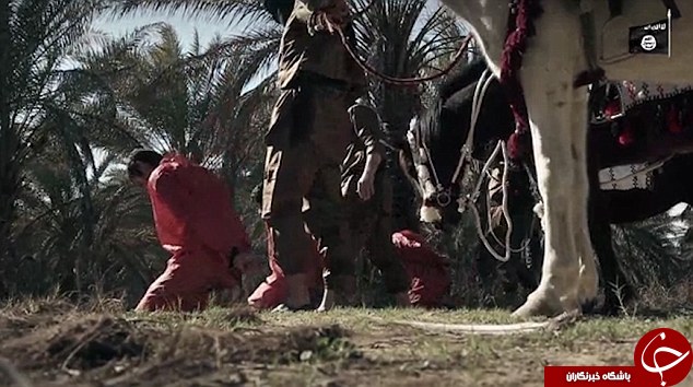 خلاقیت داعش در گردن زنی؛ این بار با اسب! +تصاویر