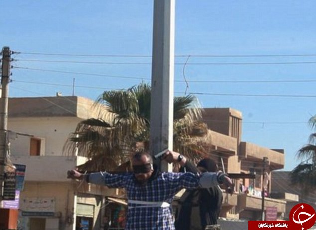 به صلیب کشیده شدن 4 نفر از سوی داعش در شهر رقه+ تصاویر 18+