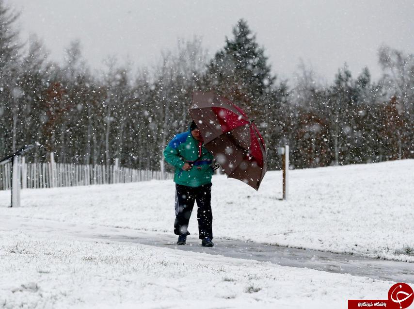 برف و سرمای مرگبار، اروپا را فراگرفت+ تصاویر