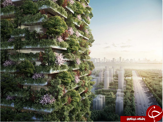ساخت ساختمان های سبز در چین برای مبارزه با آلودگی هوا + تصاویر