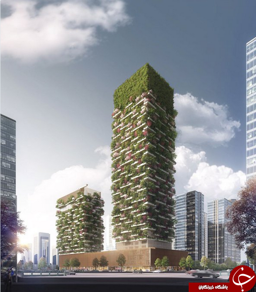 ساخت ساختمان های سبز در چین برای مبارزه با آلودگی هوا + تصاویر