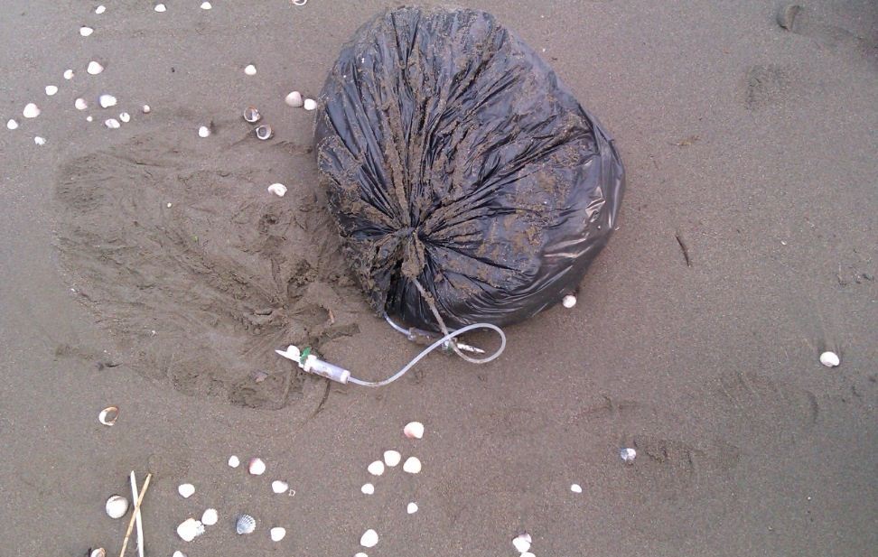 زباله حق مهربانی دریای خزر نیست/چرا کسی برای فاجعه در دریای خزر تب نمی‌کند!؟