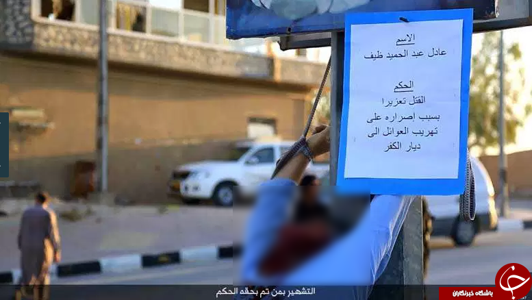 اعدام 5 نفر به اتهام قاچاق انسان به سرزمین کفر از سوی داعش+ تصاویر