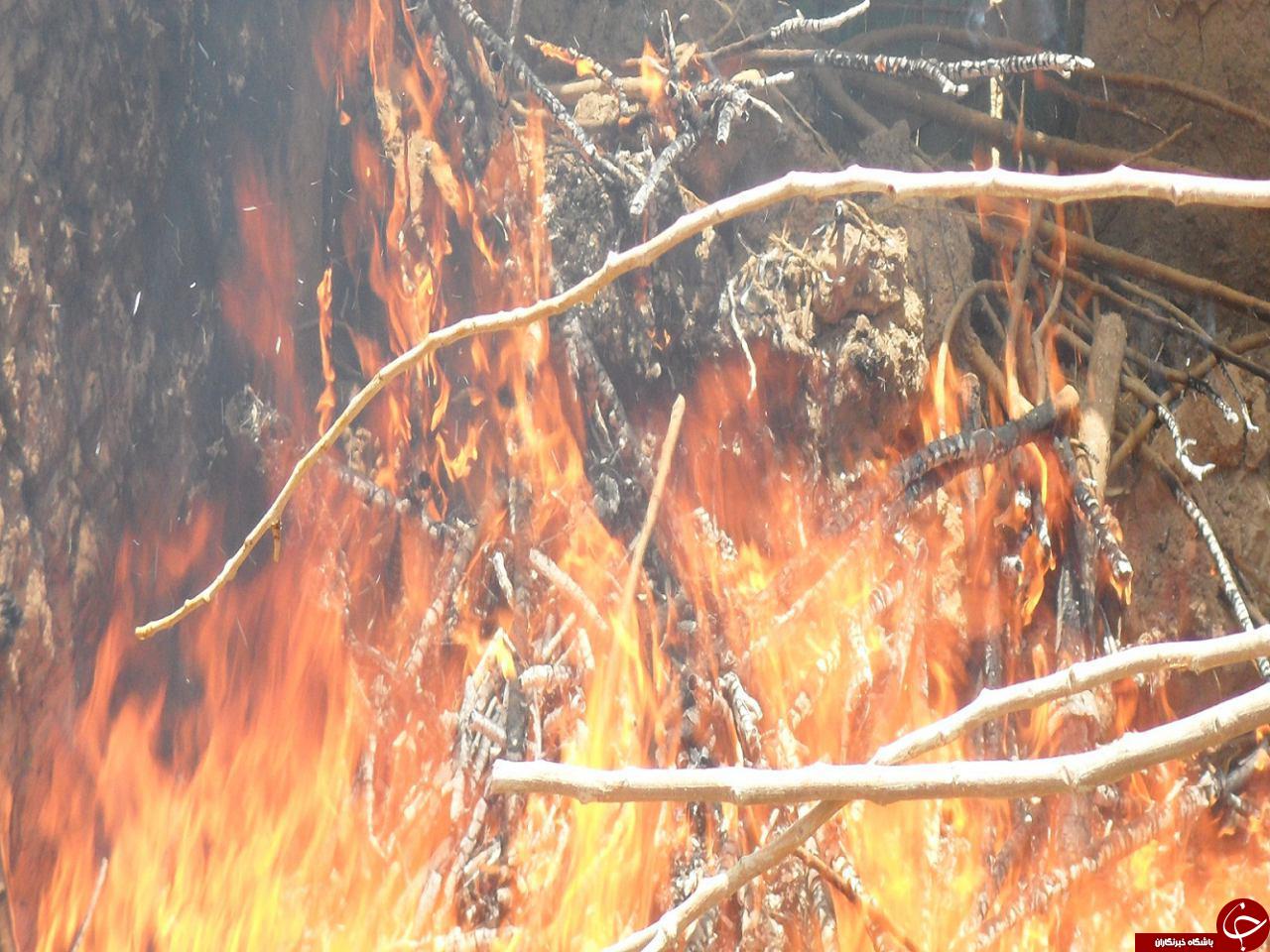 جنگل گیان در محاصره آتش