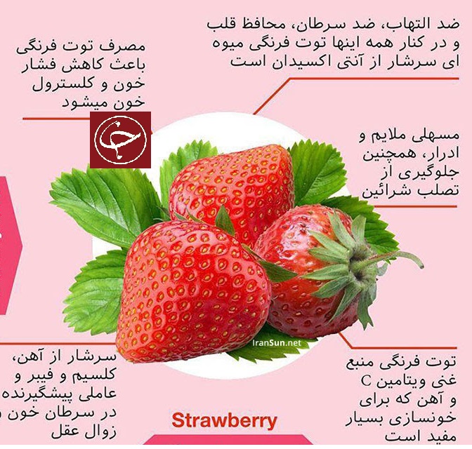 خواص میوه تابستانی توت فرنگی/  کاهش فشار و کلسترول خون می شود.