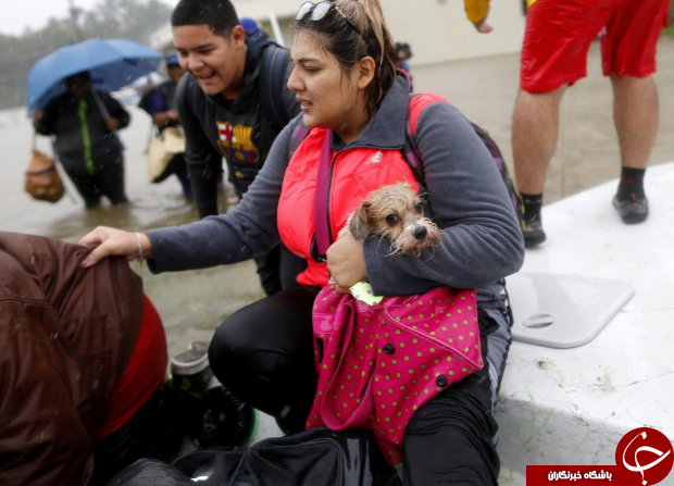 فرار مردم تگزاس از توفان وحشتناک هاروی با حیوانات خانگی شان+ تصاویر