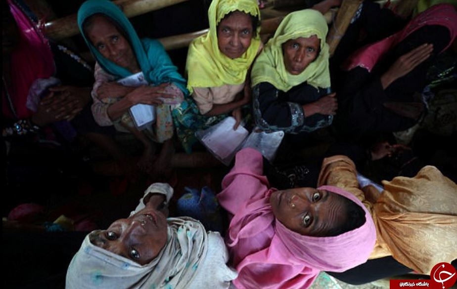 دیلی‌میل: نسل‌کشی روهینگیایی‌ها در مقابل چشمان برنده جایزه صلح نوبل