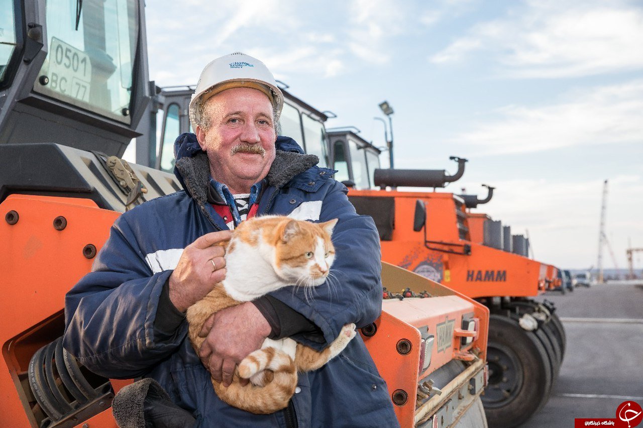 یک گربه پل ارتباطی روسیه به کریمه را افتتاح می کند+تصاویر